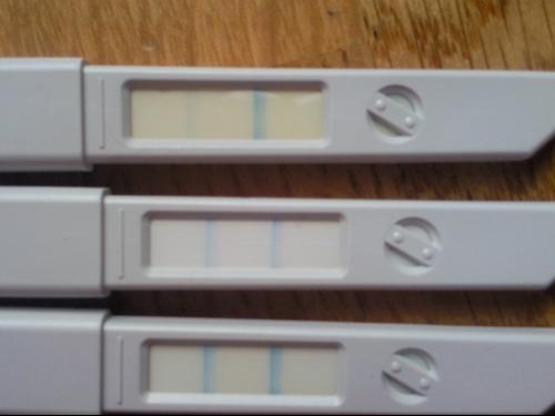 bandelette ovulation clearblue bandelette ovulation clearblue